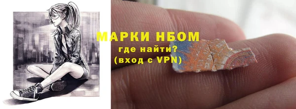 гашик Арсеньев