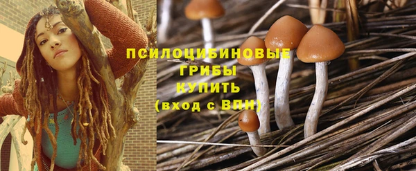 гашик Арсеньев