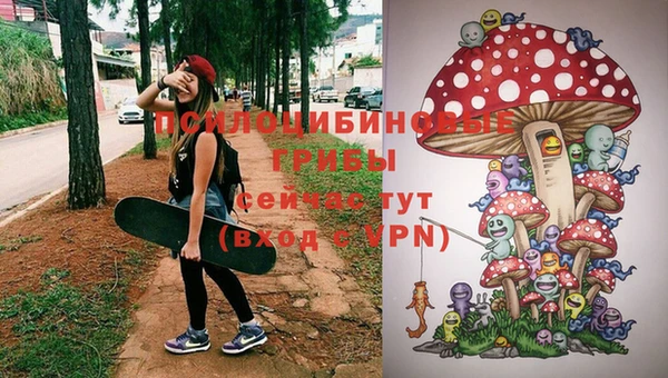 a pvp Аркадак