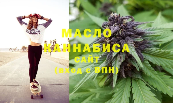 индика Армянск