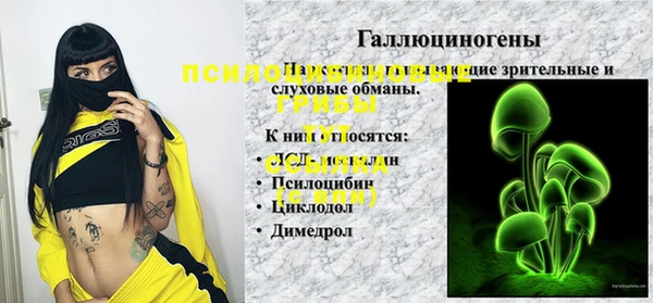 индика Армянск