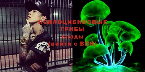 индика Армянск